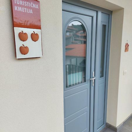 Apartmaji Aucin - Brda Kojsko Luaran gambar