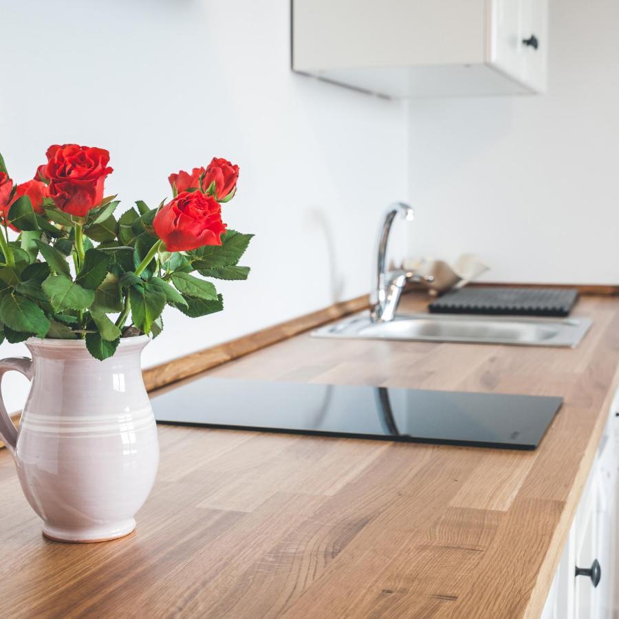 Apartmaji Aucin - Brda Kojsko Luaran gambar